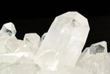 Clear Quartz Crystal Cluster - Brazil #258931-1